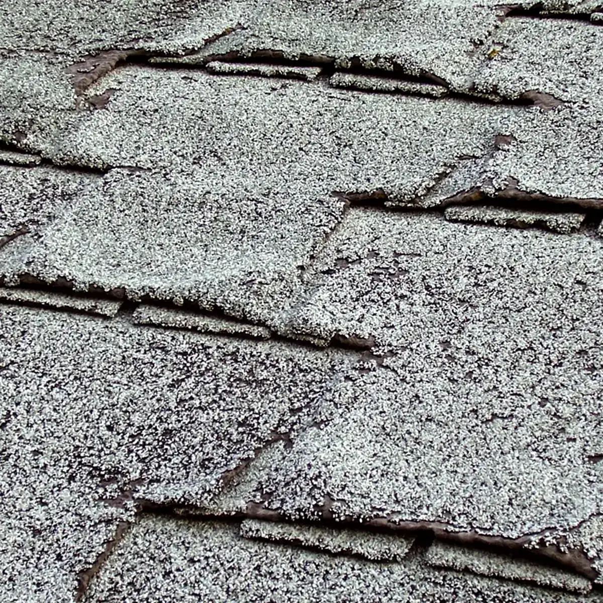 Close view of a dried-out asphalt shingle roof: granules worn through to bare brown asphalt, split tabs, curling butt edges